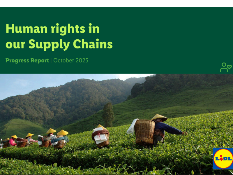 Human Rights Progress Report 2025